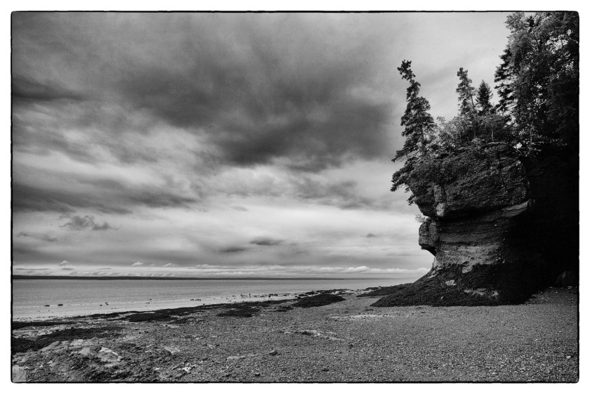 Hopewell Rocks Day 1 24078