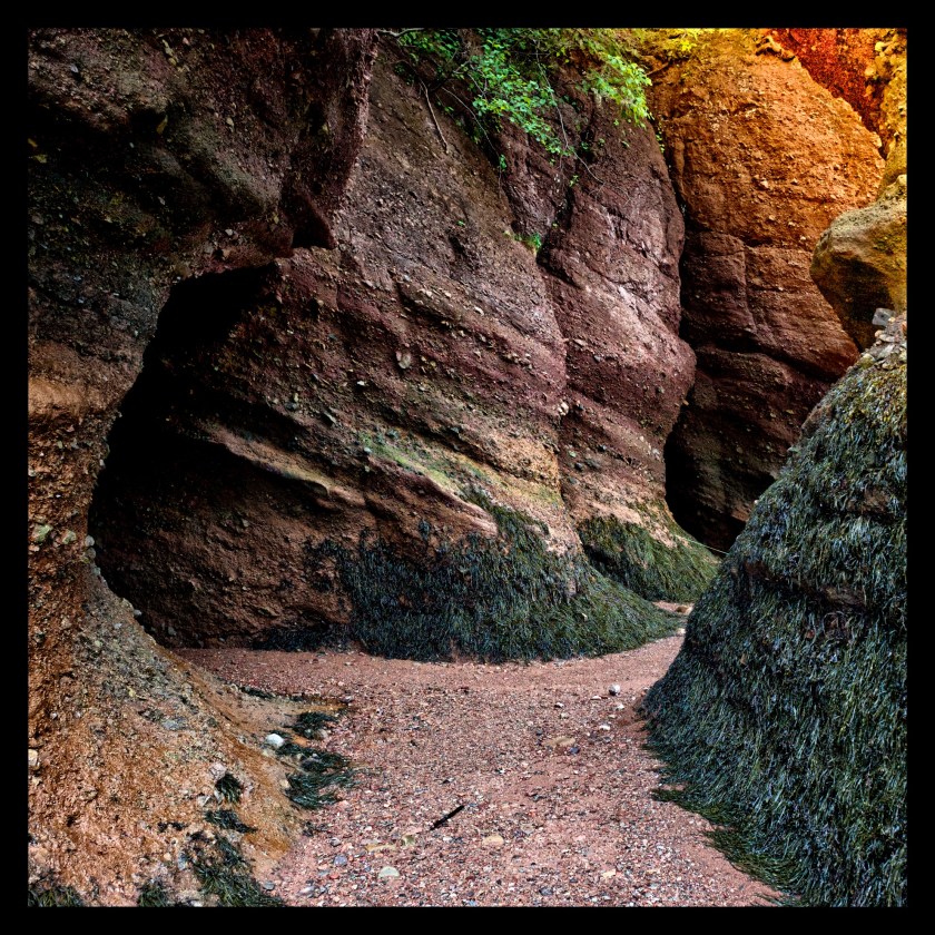 Hopewell Rocks Day 1 24079