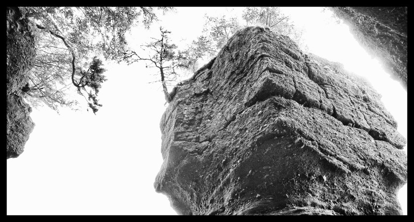 Hopewell Rocks Day 1 24080