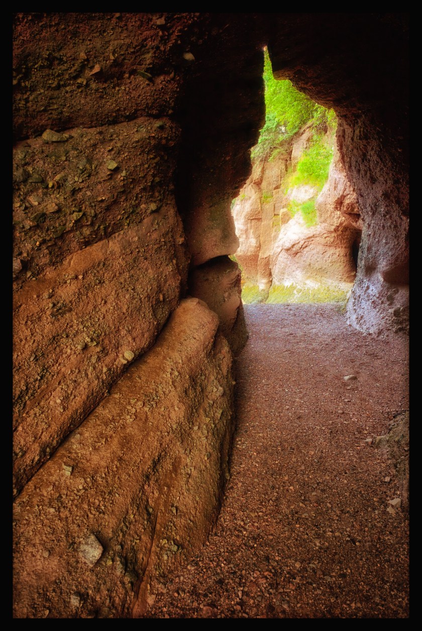 Hopewell Rocks Day 1 24081