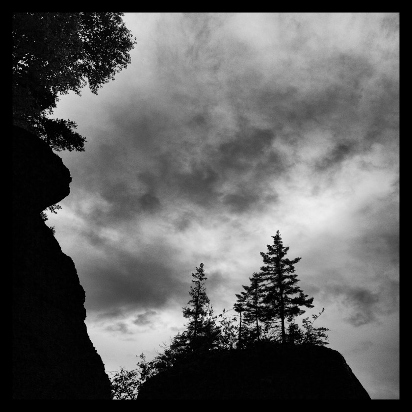 Hopewell Rocks Day 1 24085