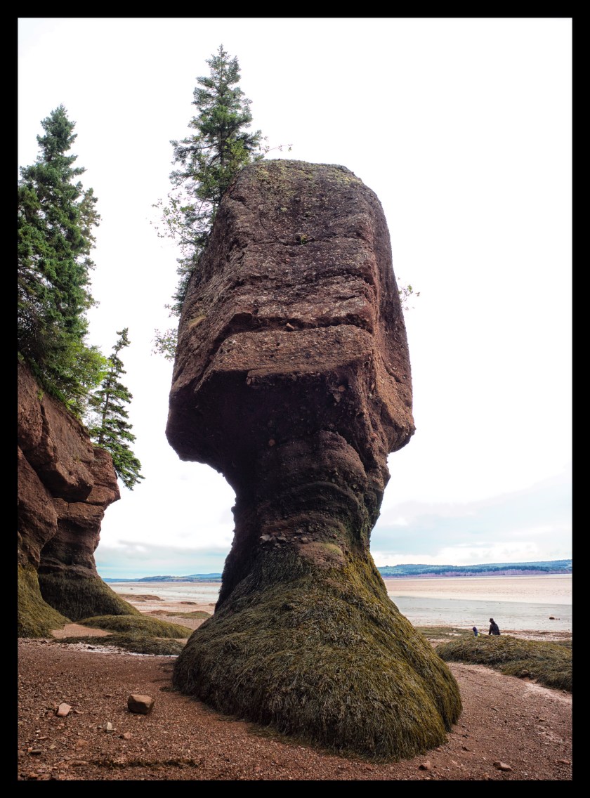 Hopewell Rocks Day 1 24086