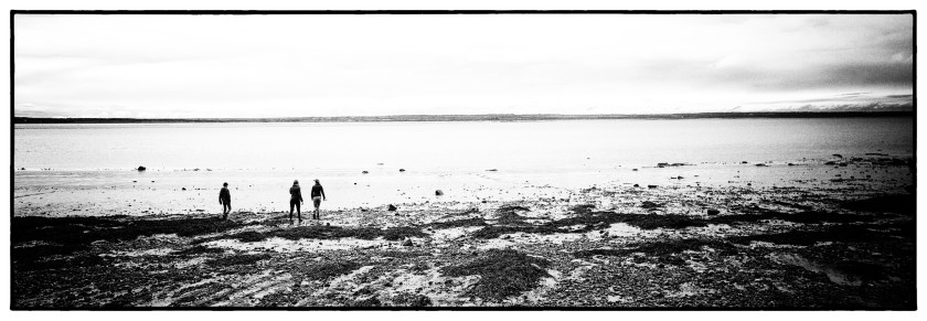 Hopewell Rocks Day 1 24088