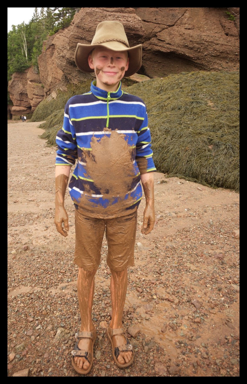Hopewell Rocks Day 1 24091