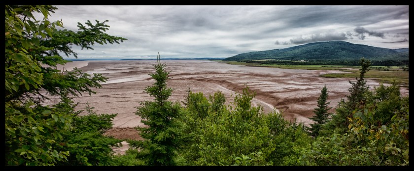 Hopewell Rocks Day 1 24096