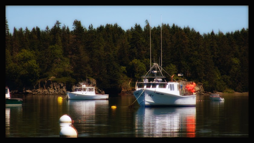 Lubec maine day 2 23305 (1)