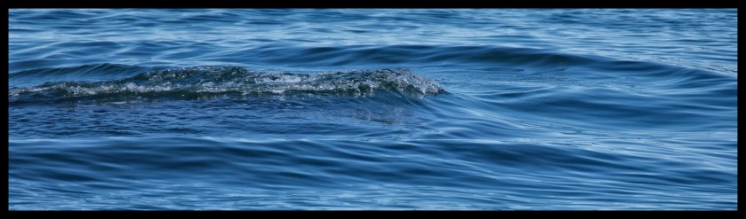 Lubec maine day 2 23356