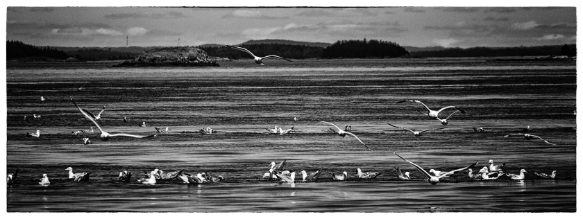 Lubec maine day 2 23363