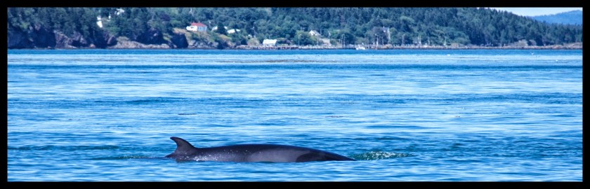 Lubec maine day 2 23381