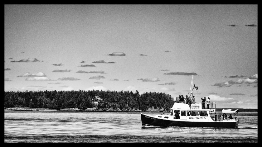 Lubec maine day 2 23387