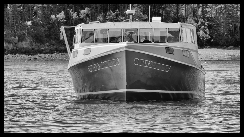 Lubec maine day 2 23397