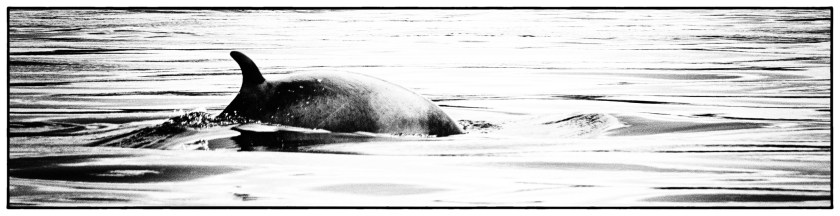 Lubec maine day 2 23400