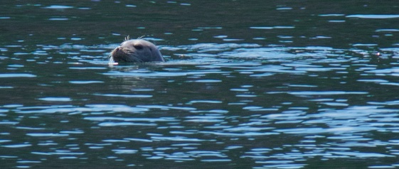 Lubec maine day 2 23454