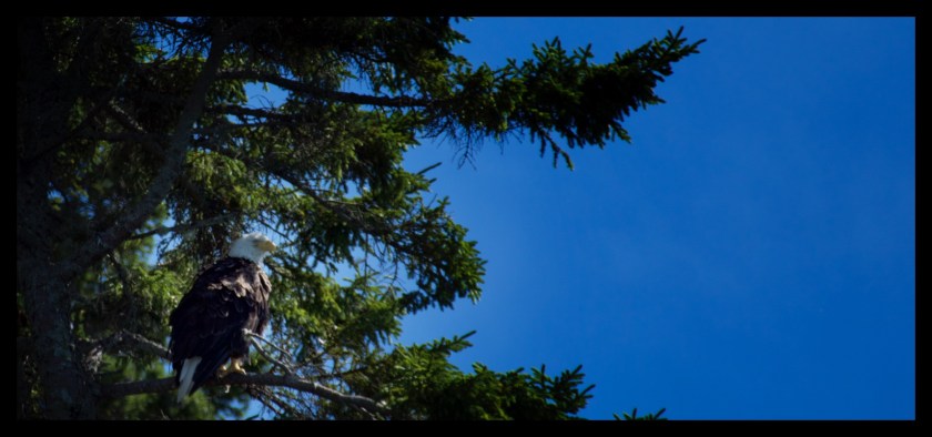 Lubec maine day 2 23482