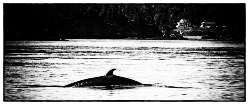 Lubec maine day 2 23496