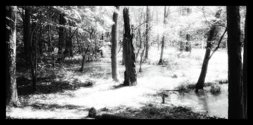 Pocahontas State Park 19918.jpg