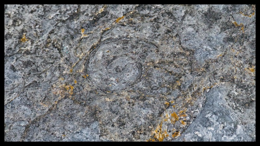 Camp day 5 28855 (1)