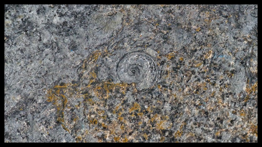 Camp day 5 28856 (1)