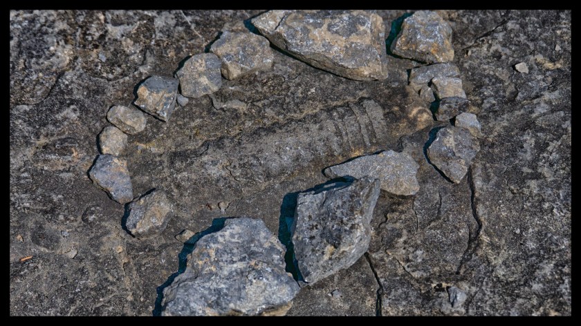 Camp day 5 28862 (1)