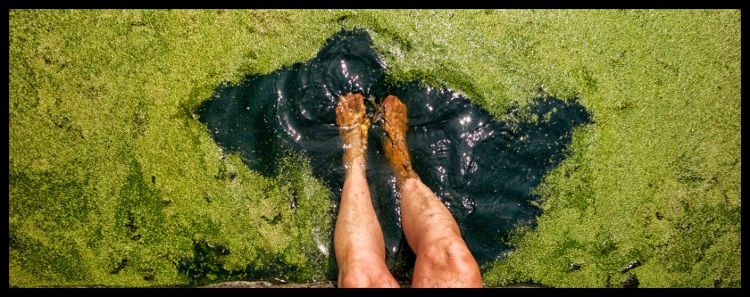 Camp day 5 28872 (1)