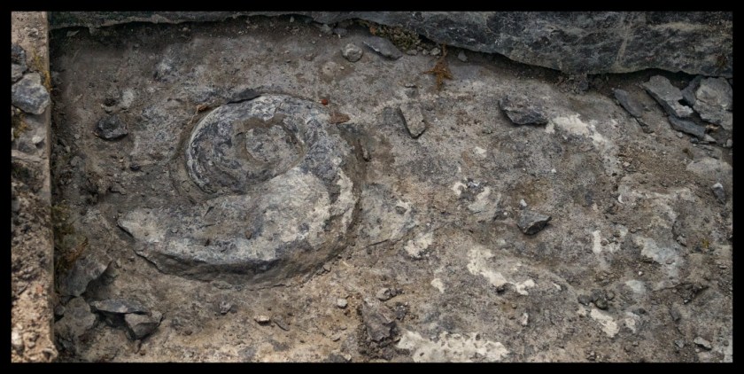 Camp day 5 28873 (1)