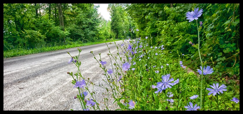 Camp day 5 28877 (1)