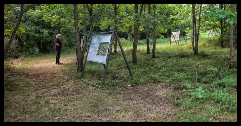 Camp day 5 28882 (1)