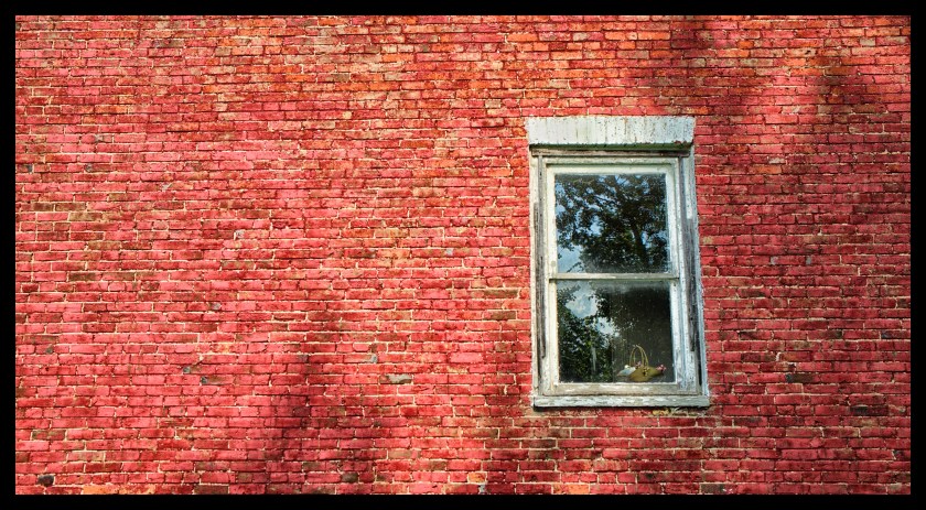 Camp day 5 28890 (1)