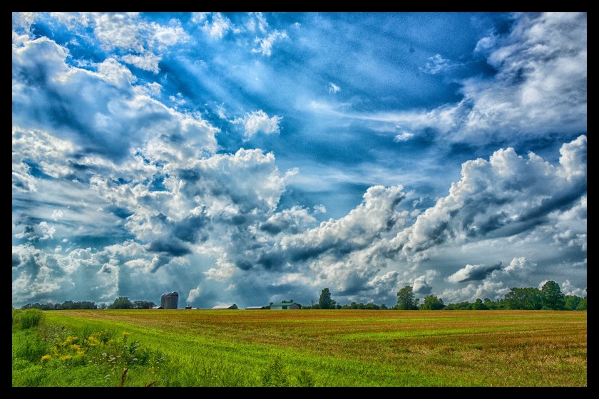 Camp day 5 28897 (1)