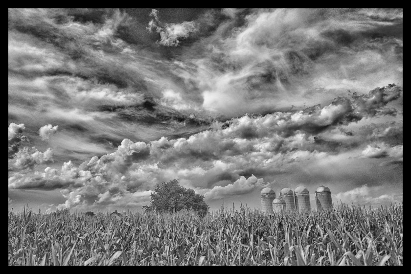 Camp day 5 28899 (1)