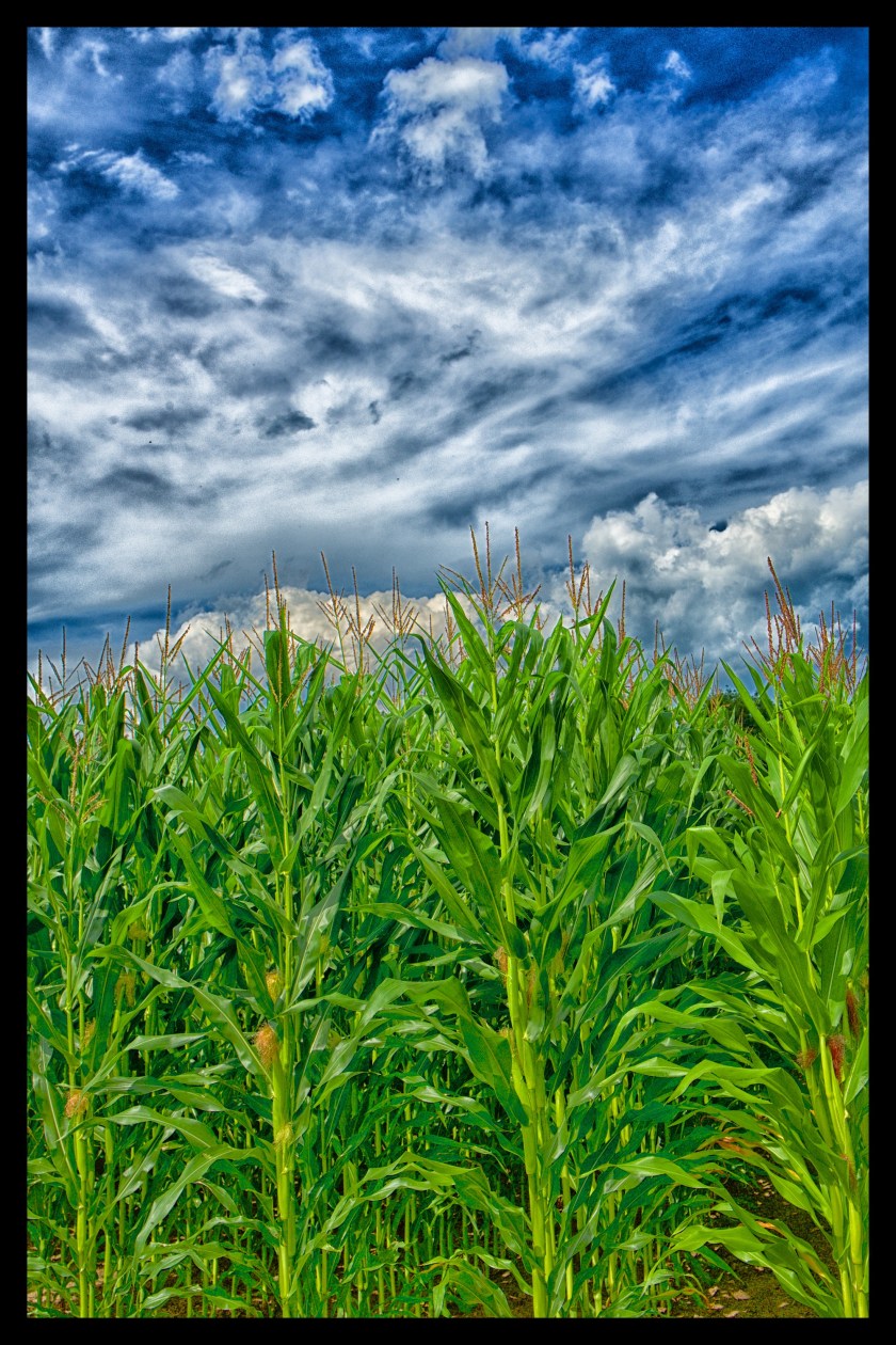 Camp day 5 28902 (1)