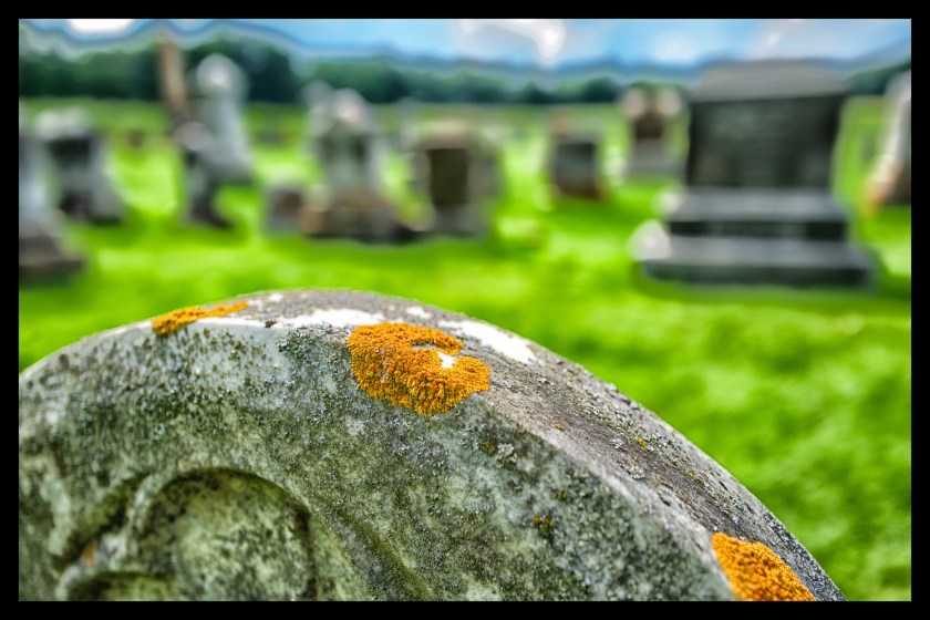 Camp day 5 28903 (1)