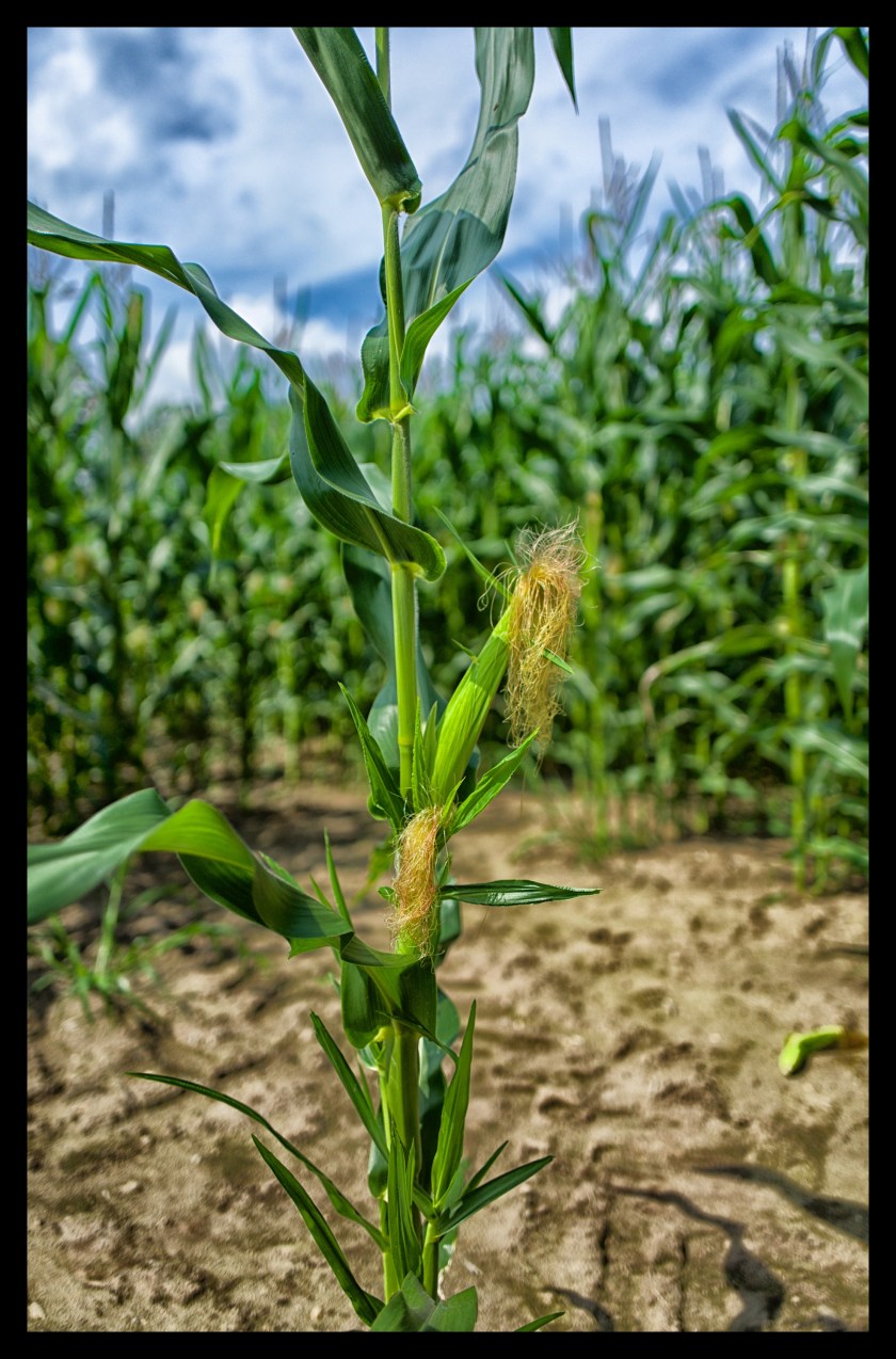 Camp day 5 28905 (1)