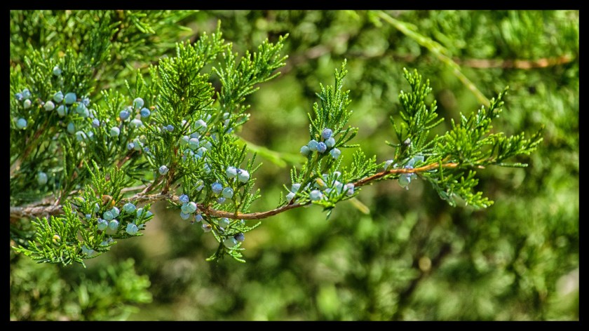 Camp day 5 28910 (1)