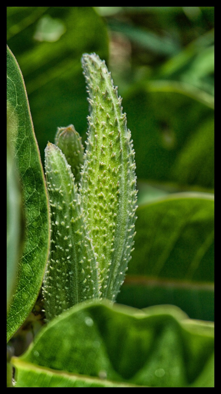 Camp day 5 28916 (1)