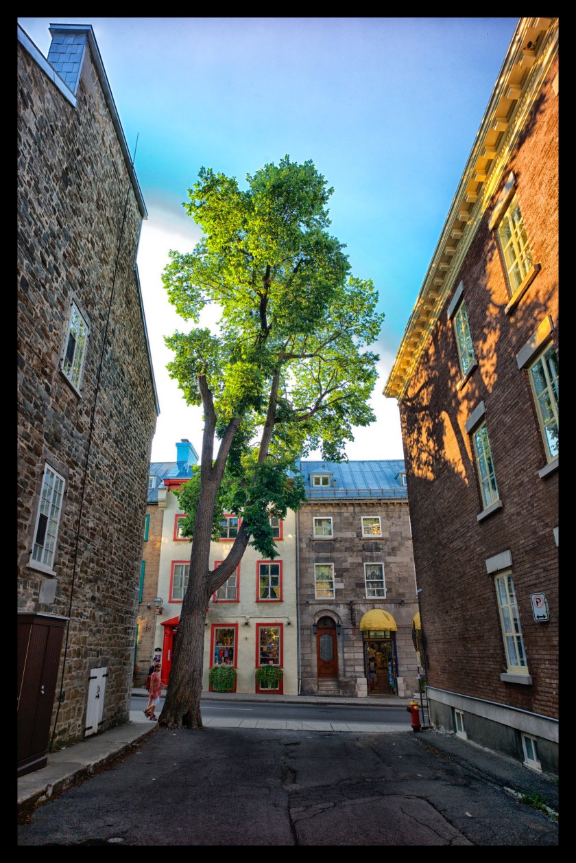 Quebec City day 1 25747