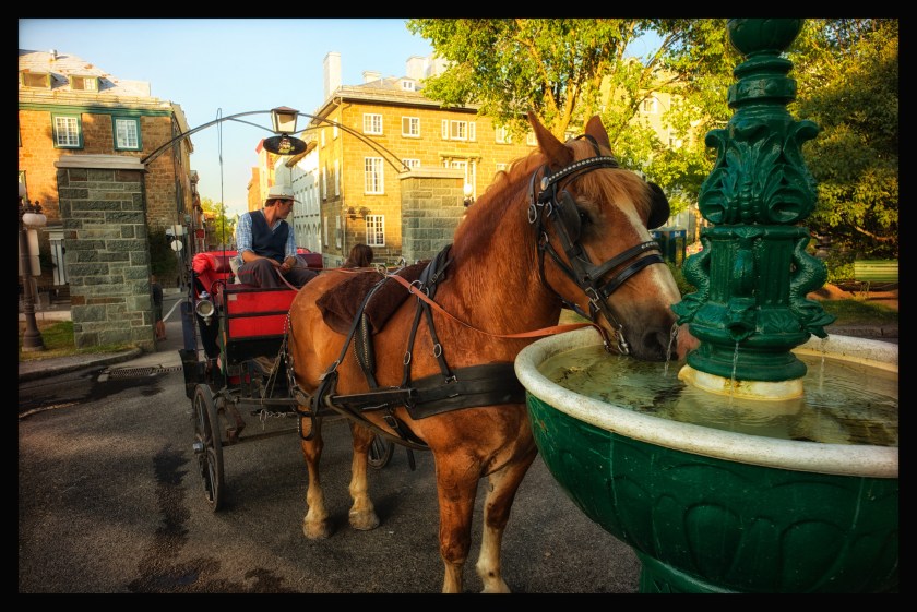 Quebec City day 1 25776