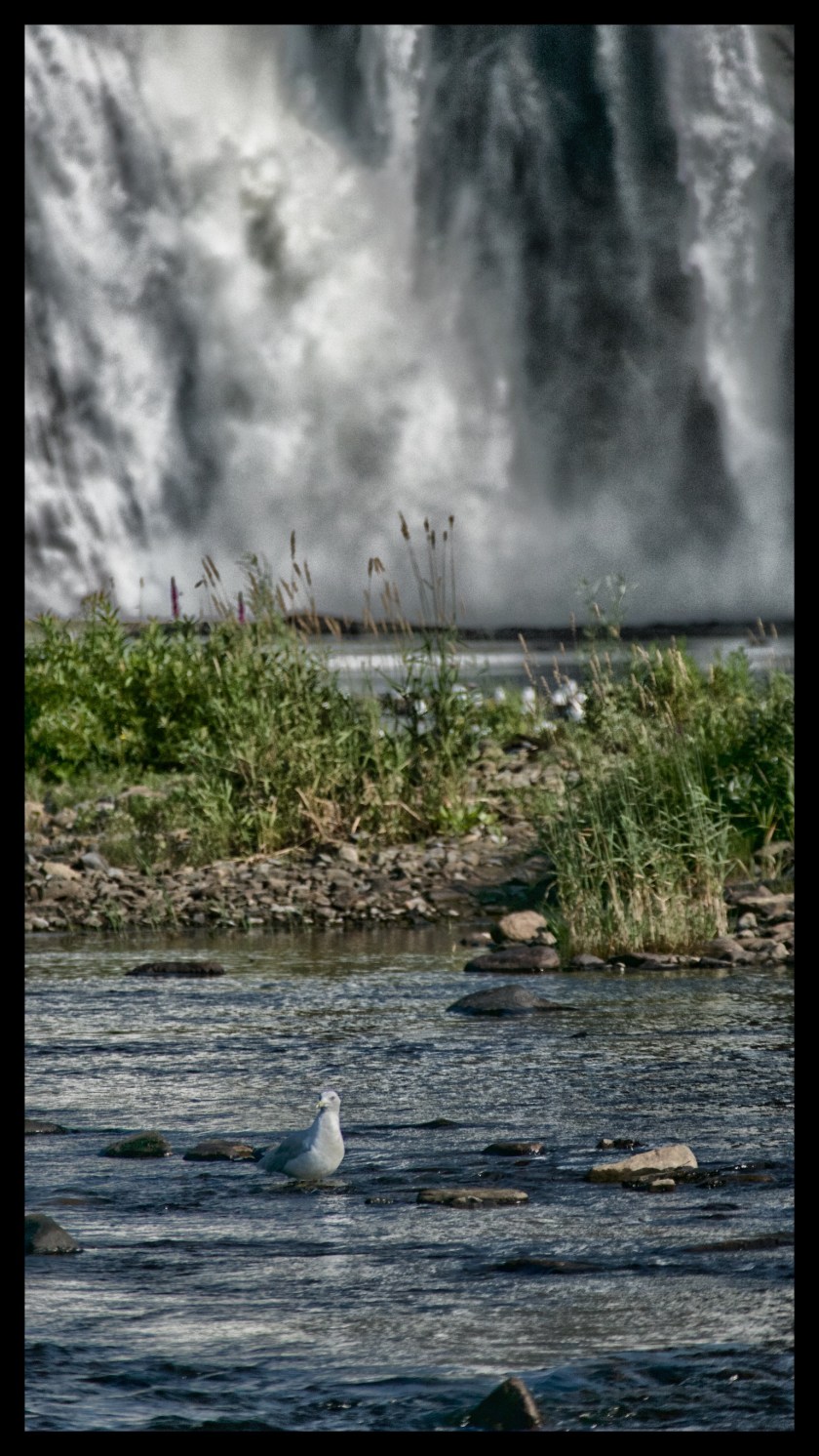 The waterfalls 26652